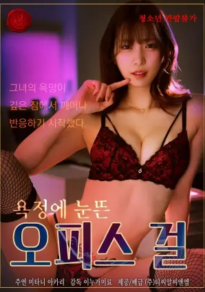 长夜拾光者 热播电视剧全集免费观看